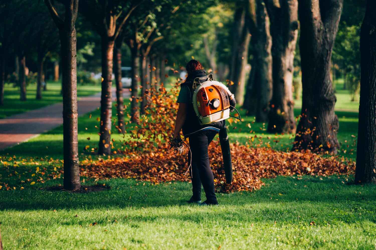 Best Tree Clearing Services  in Key Biscayne, FL